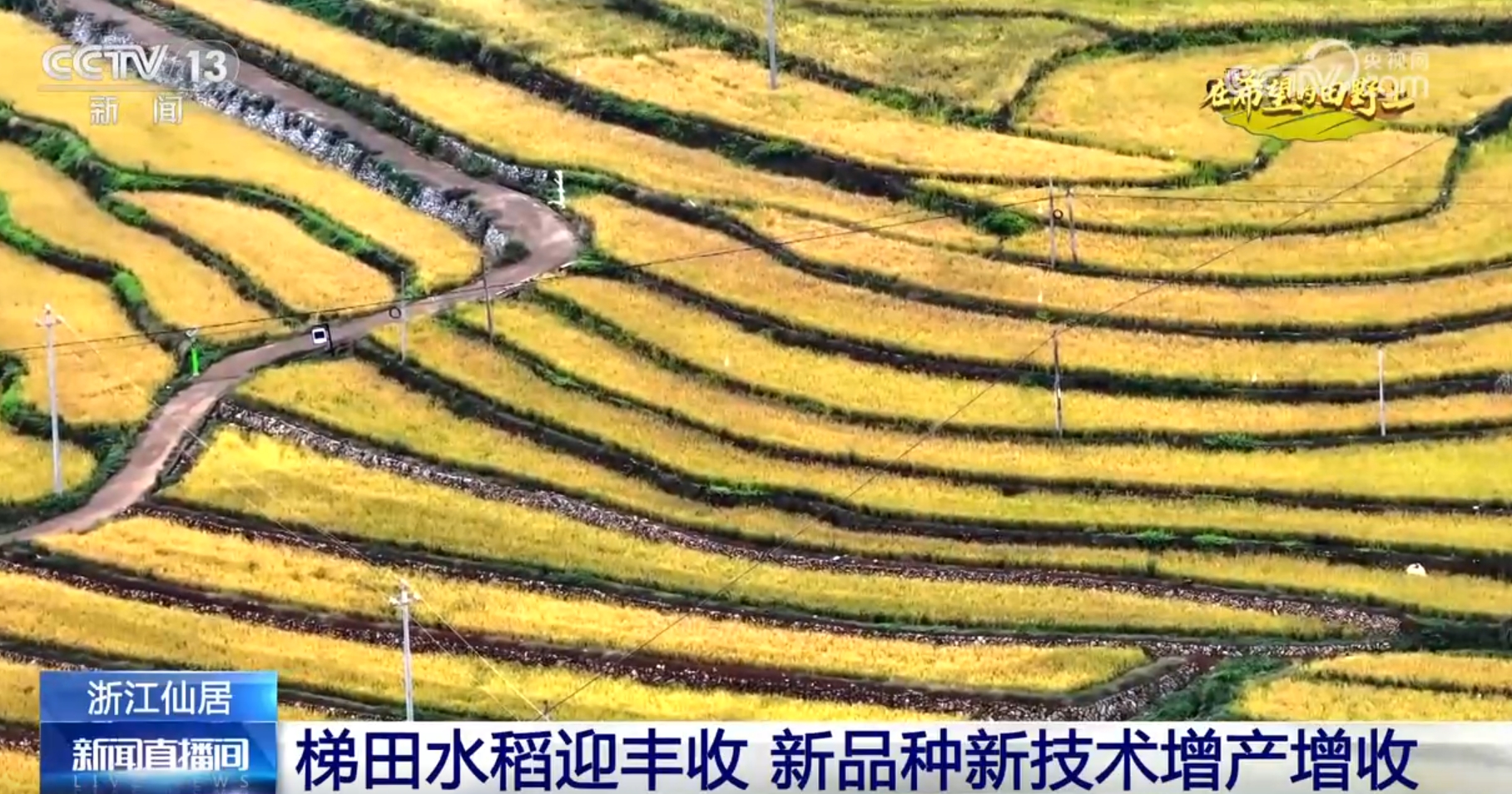 景画卷 农业高“智”量发展行稳致远凯发国际希望的田野上铺展多彩“丰”(图10)