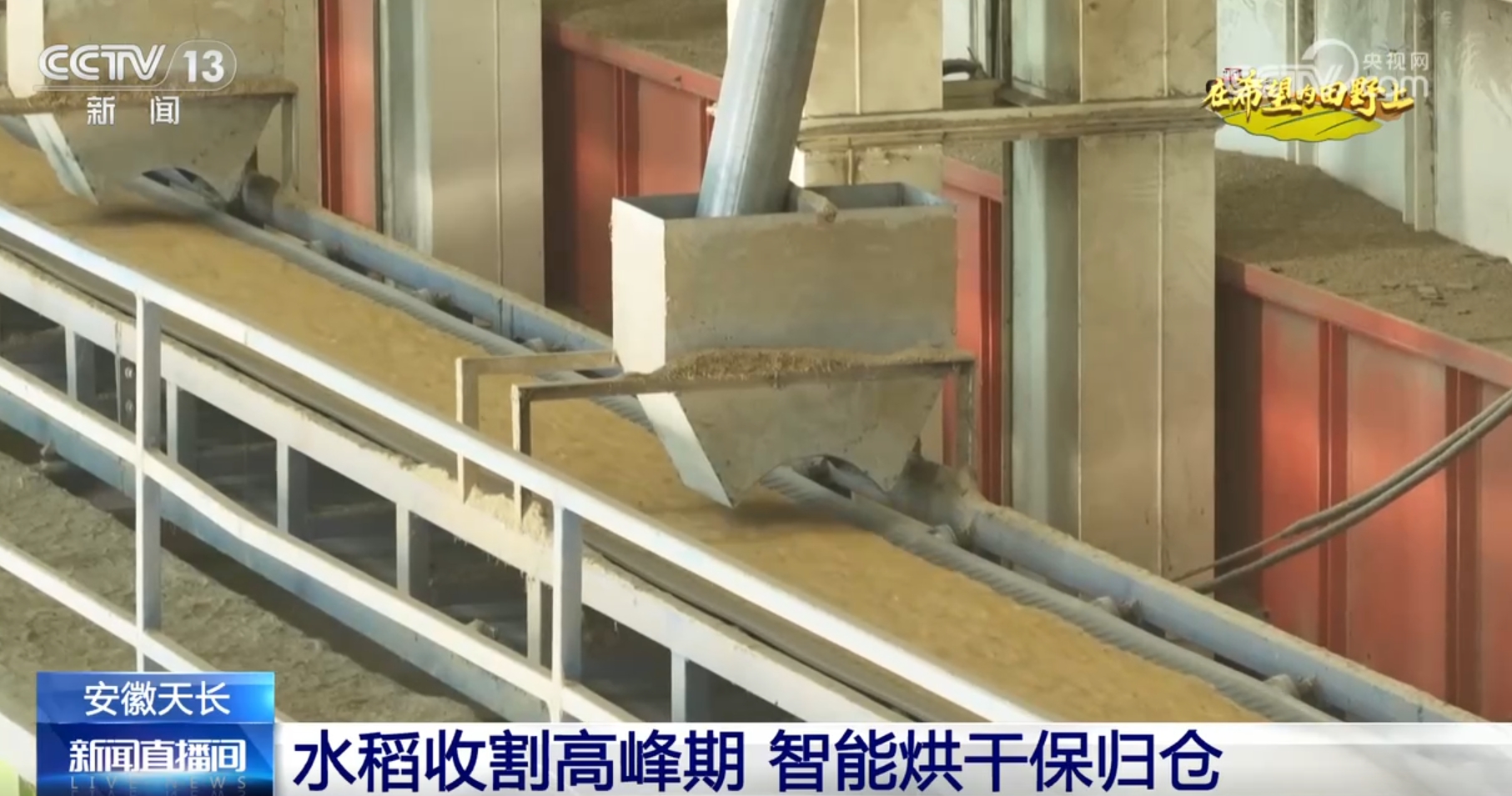 景画卷 农业高“智”量发展行稳致远凯发国际希望的田野上铺展多彩“丰”(图11)